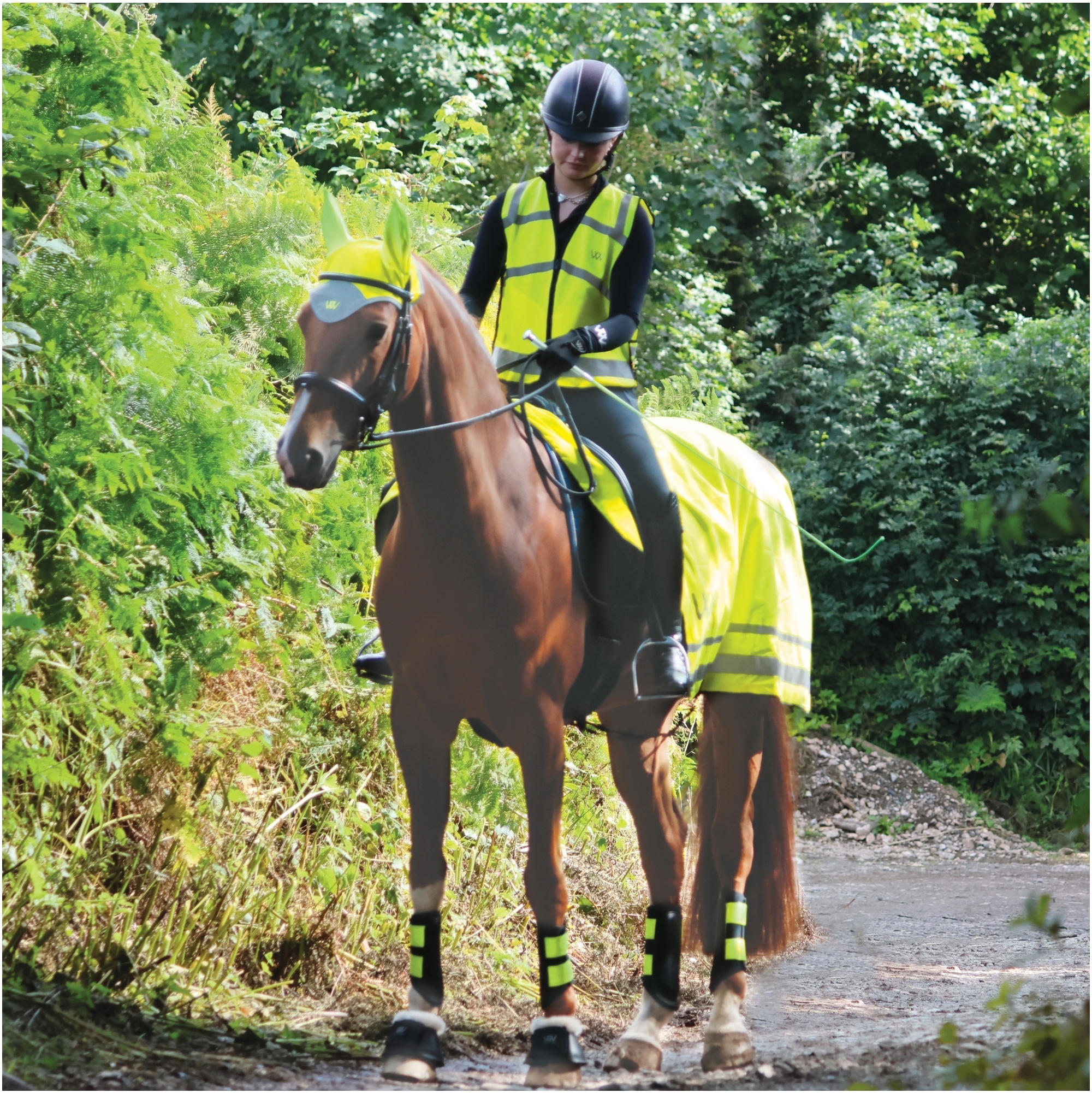 Woof Wear Hi Vis Exercise Sheet WS0032 - VZYE - L - Hi Viz Yellow